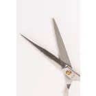 Extrasol | Jaguár Style | Professzionális fodrászolló | 6,5" | Fényes
